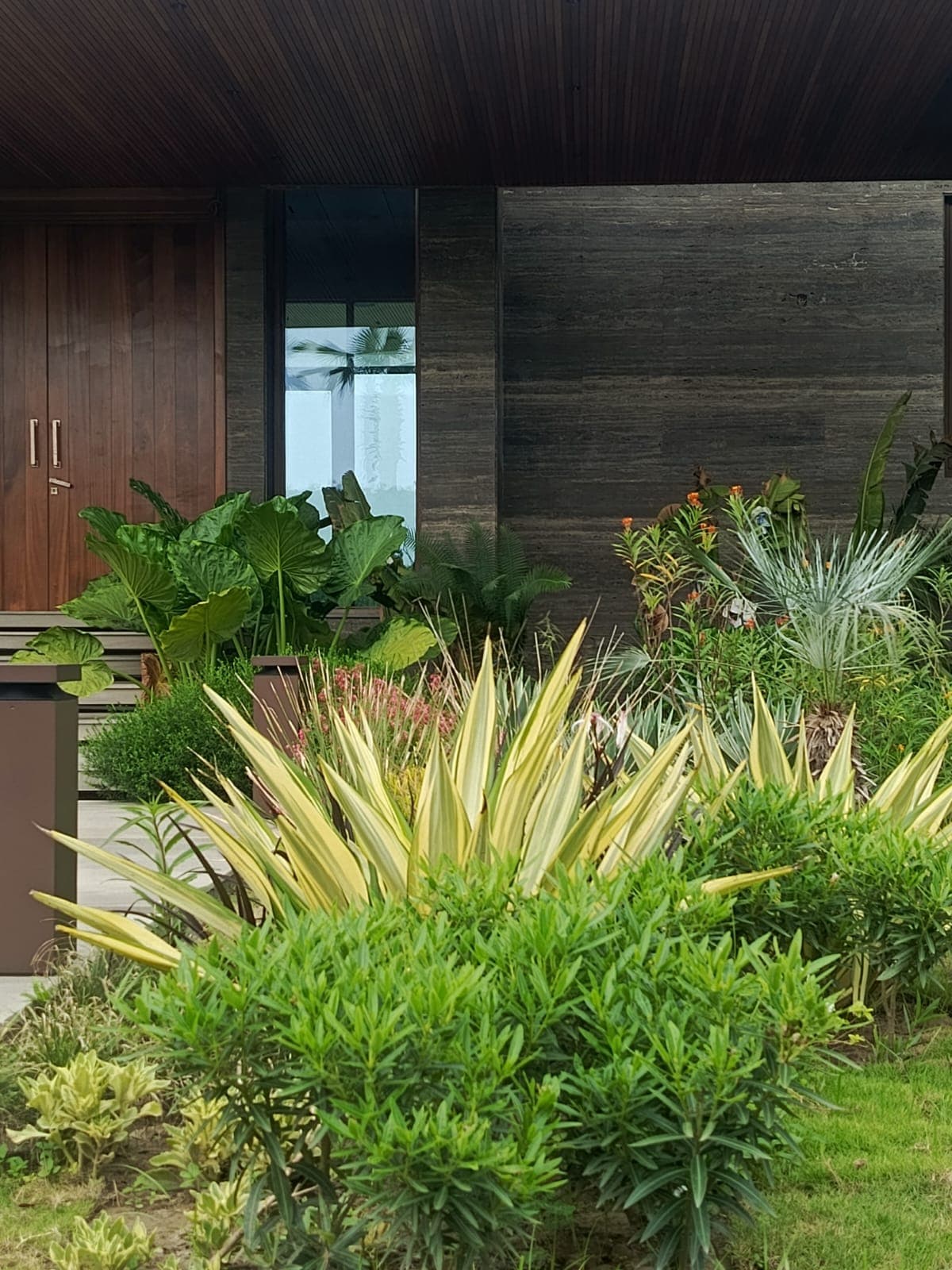 Detailed ornamental planting with grasses and flowering shrubs