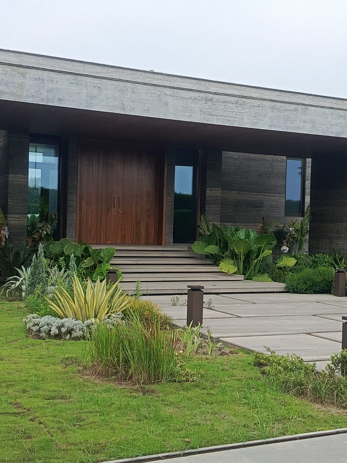 Refined landscape planting beside contemporary architecture