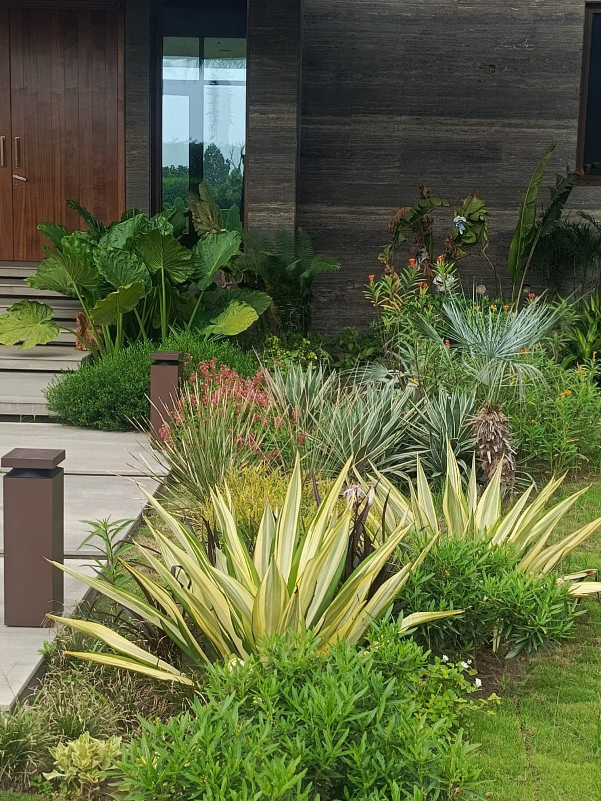 An expertly designed and built landscape viewed across lush planting
